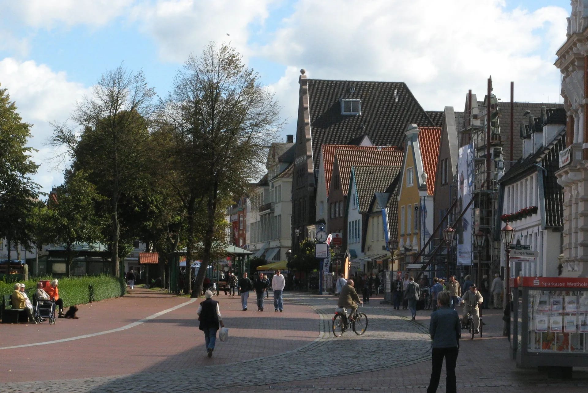 Heide in Schleswig-Holstein